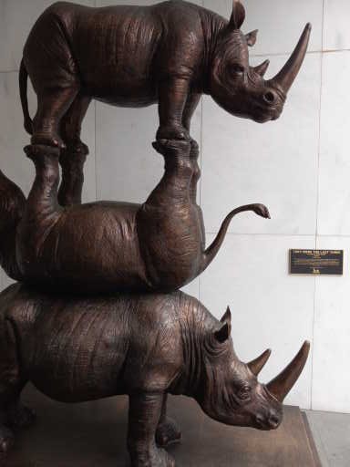 The sculpture of 3 rhinos that I came across while walking the streets of NYC